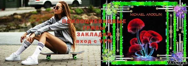 молекула духа Аркадак