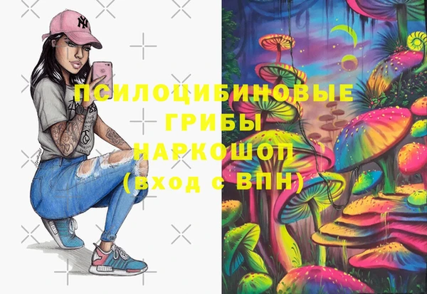 прущий лед Арсеньев