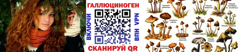 Галлюциногенные грибы мицелий Купить где Любим